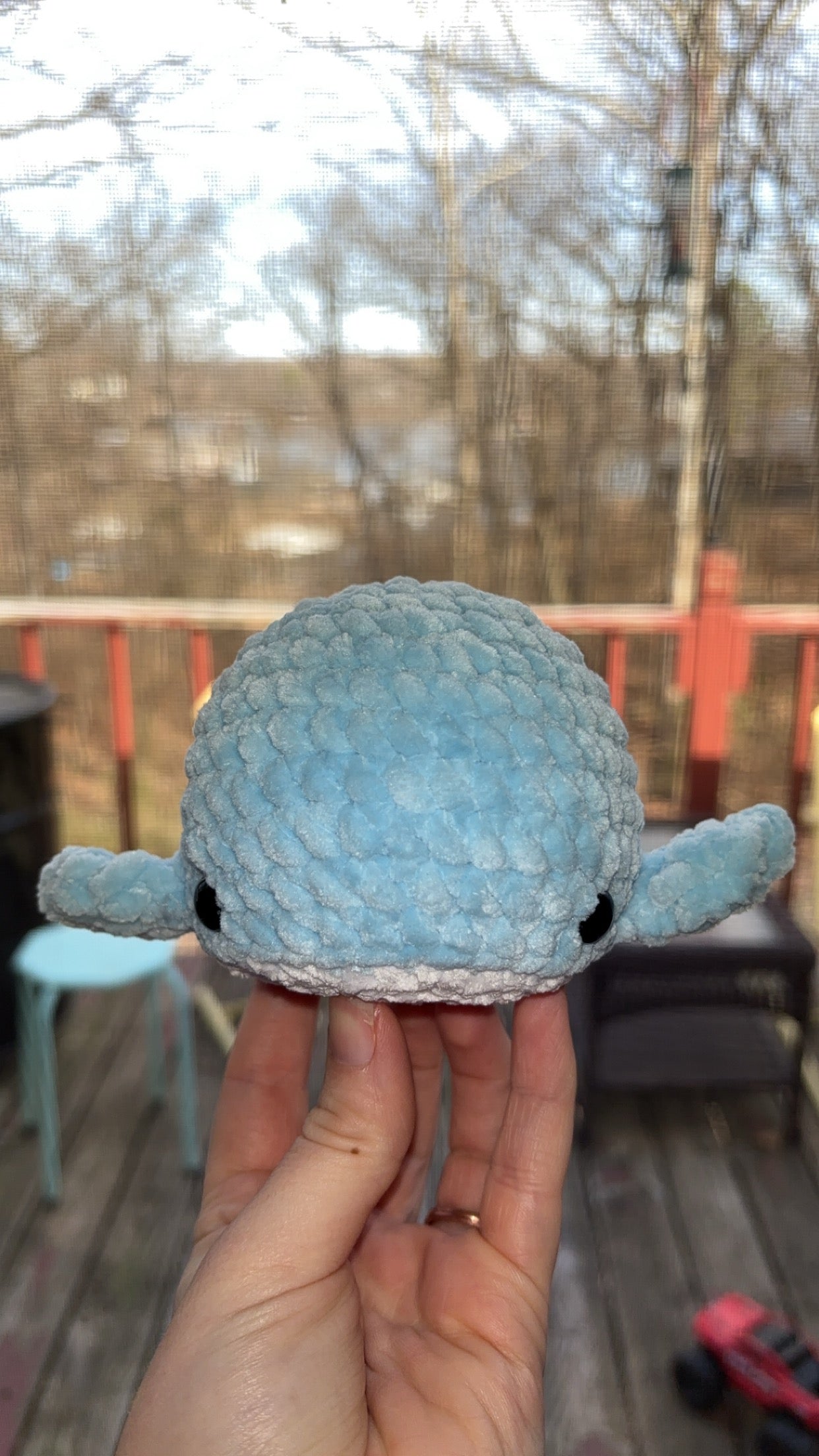 Small Whale