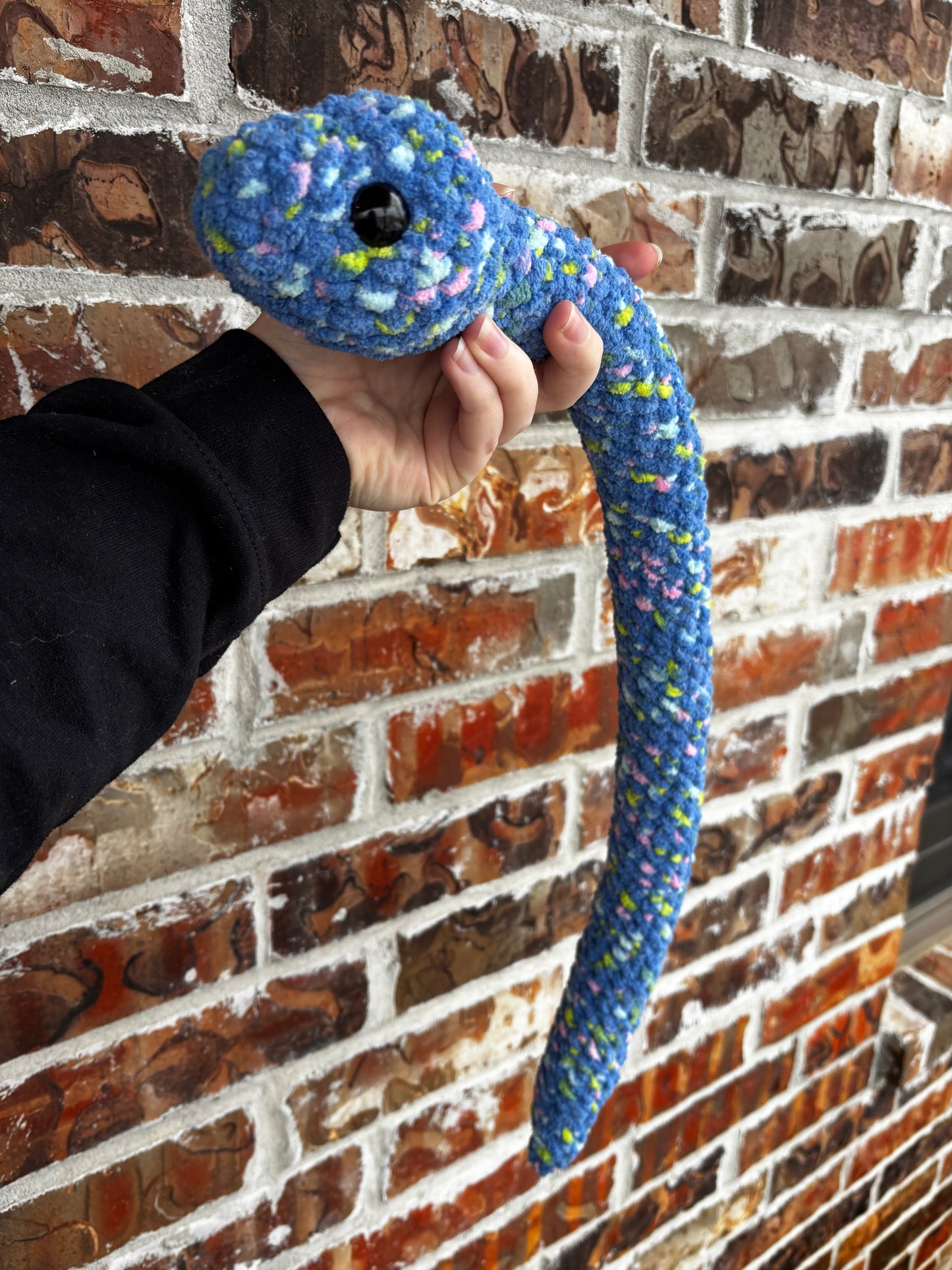 Snake friend