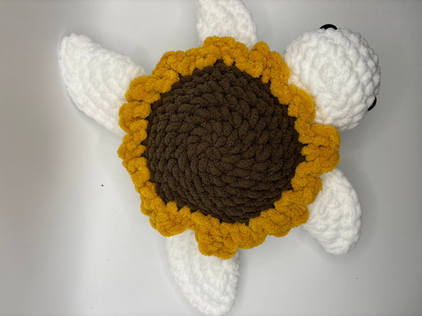 Sunflower turtle