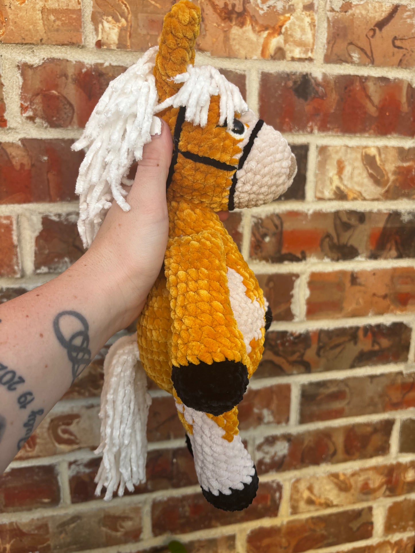 Horse