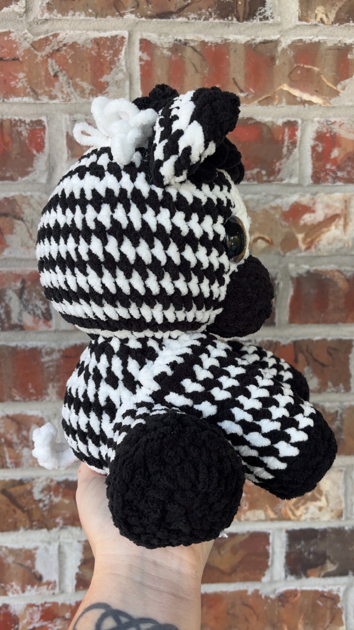 Zeb the Zebra